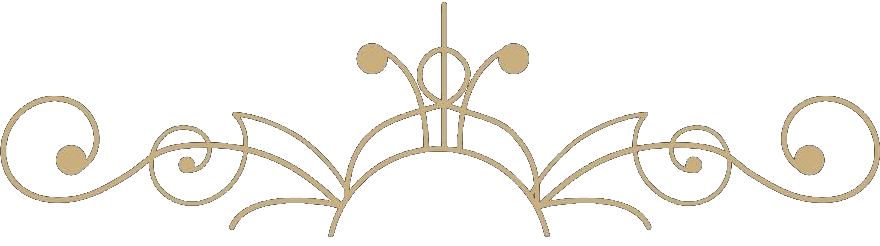 Deculpe, estamos trabalahndo na exibição da imagem