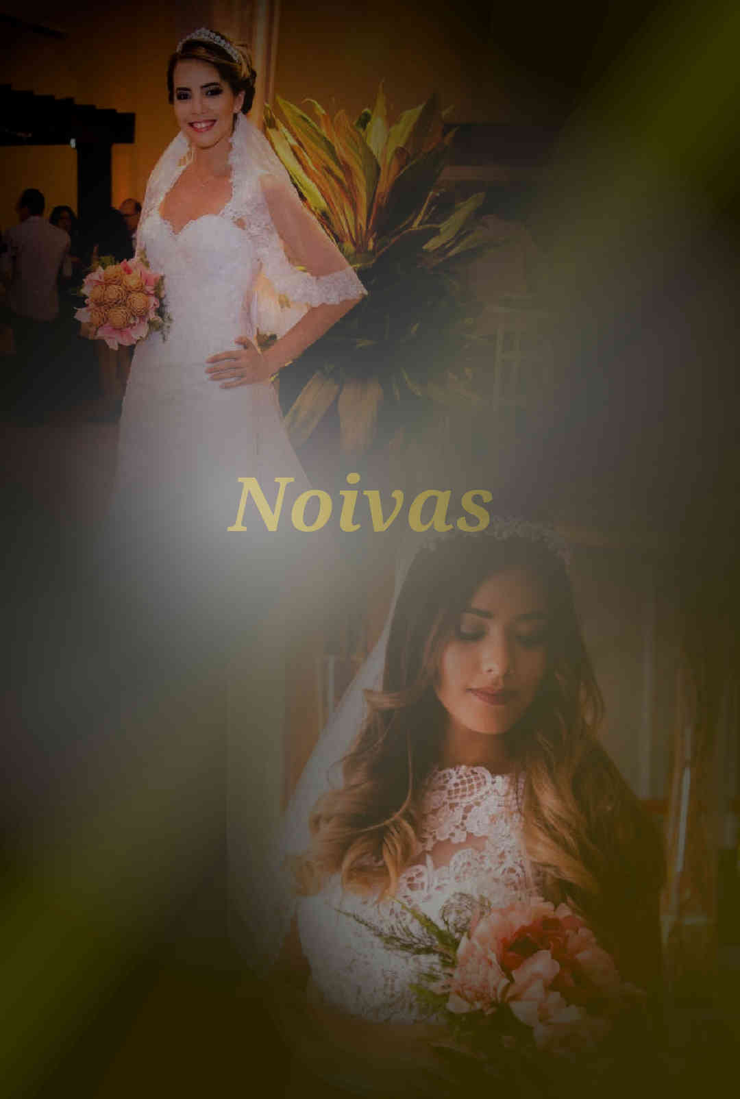  Deculpe, estamos trabalahndo na exibição da imagem 